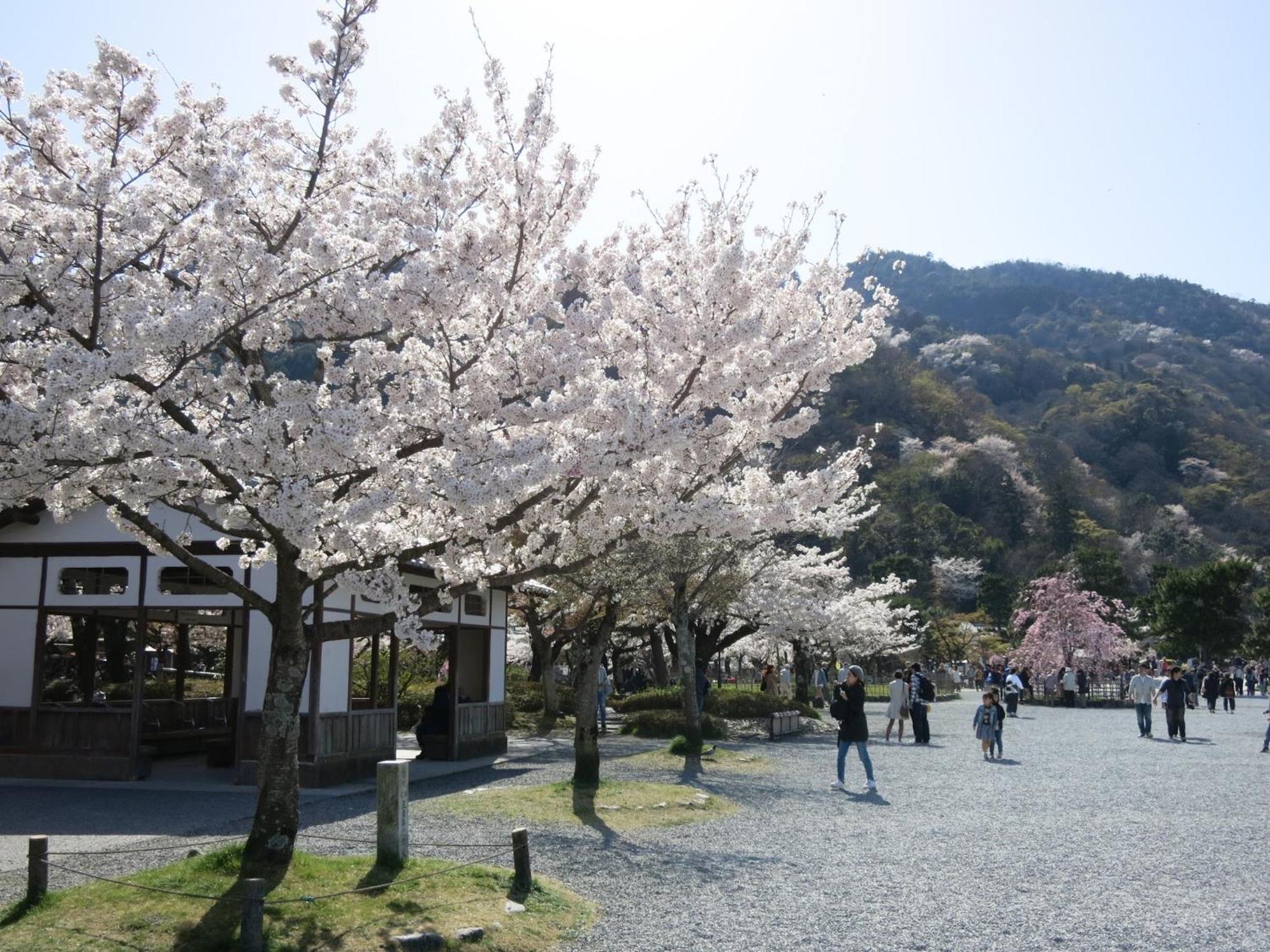 Aparthotel The Grandwest Arashiyama Kyōto Esterno foto